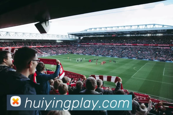 金边娱乐城官网平台生态图