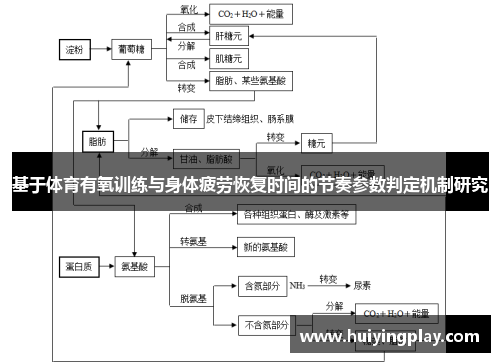 基于体育有氧训练与身体疲劳恢复时间的节奏参数判定机制研究